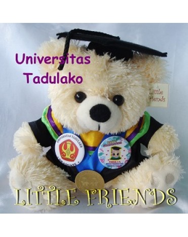 Boneka Wisuda Universitas Tadulako - Pendidikan Kimia (25 cm)